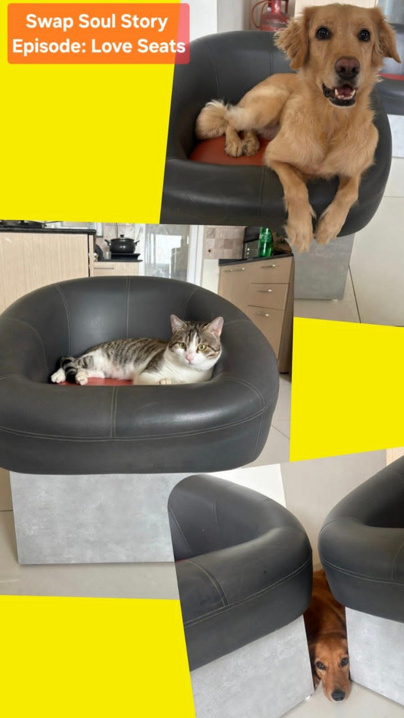 Episode: ‘Love seats’
